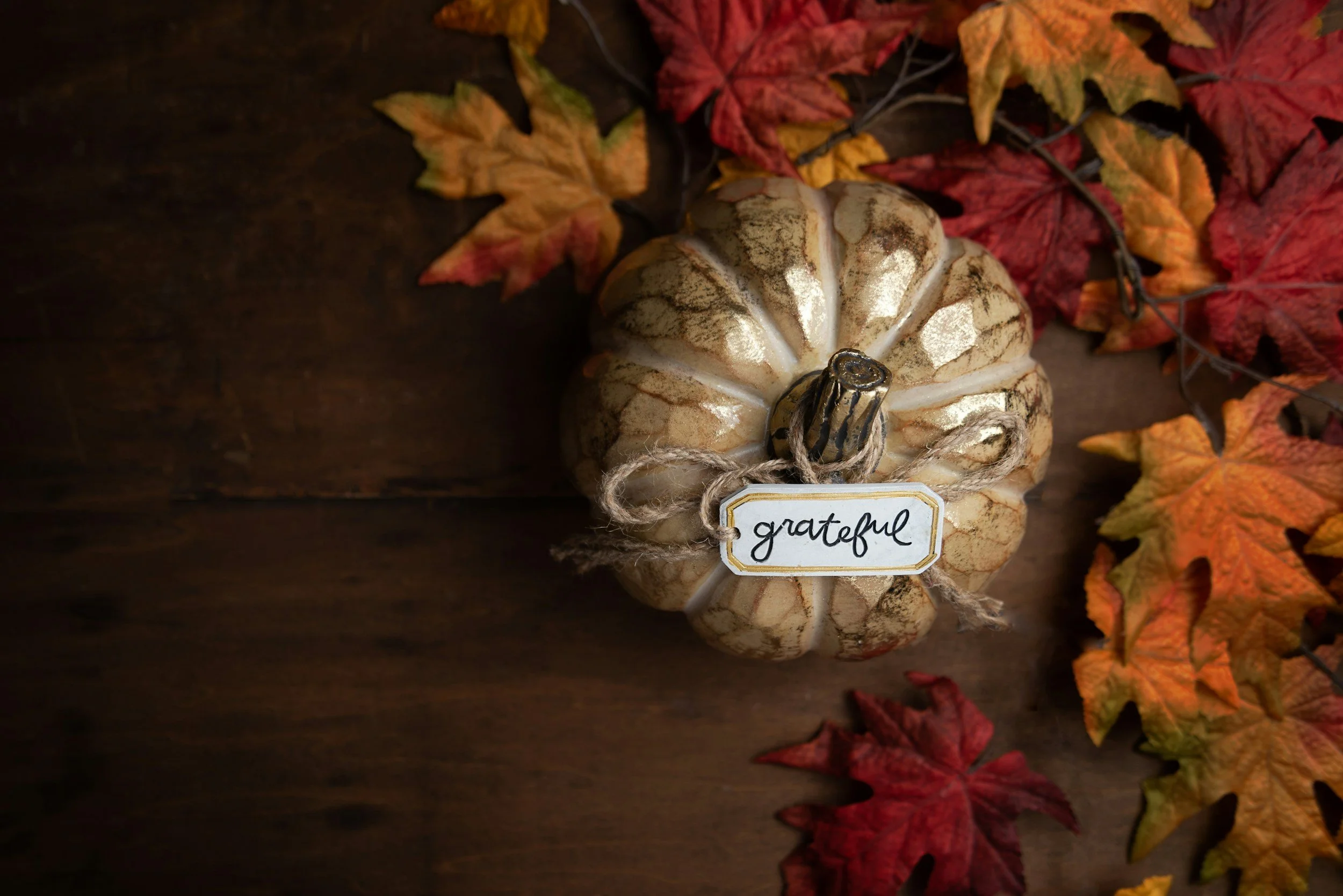 A Season of Gratitude